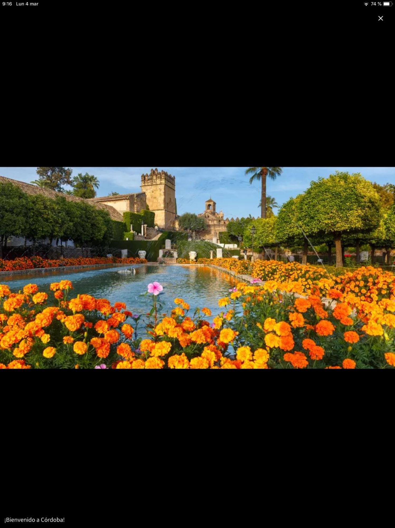 科爾多瓦Centro Historico Mezquita Juderia La Preferida公寓 外观 照片